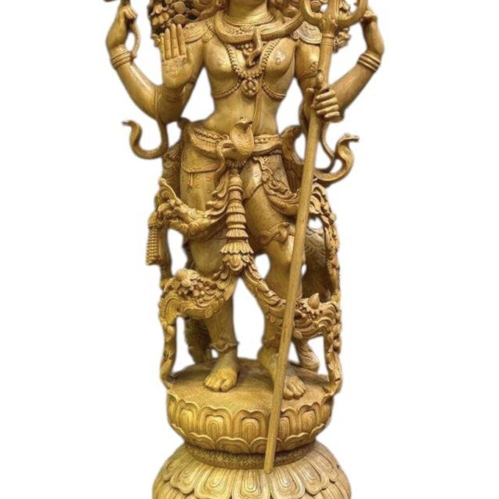 Shop Primary Image